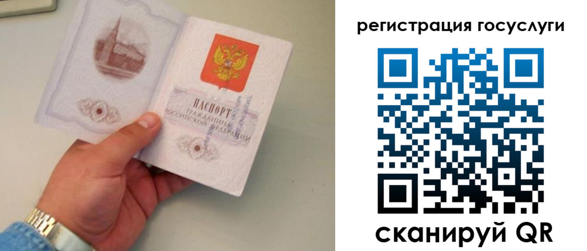 прописка регистрация в Нелидово